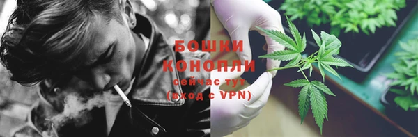 apvp Богданович