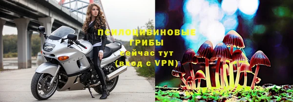 ГАЛЛЮЦИНОГЕННЫЕ ГРИБЫ Богородицк