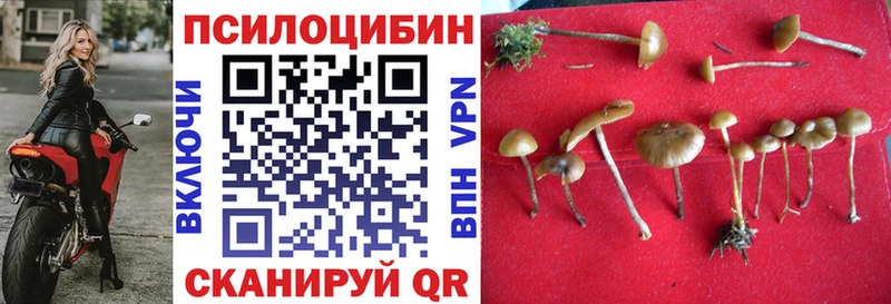 сколько стоит  MEGA маркетплейс  Галлюциногенные грибы Psilocybine cubensis  Свободный 